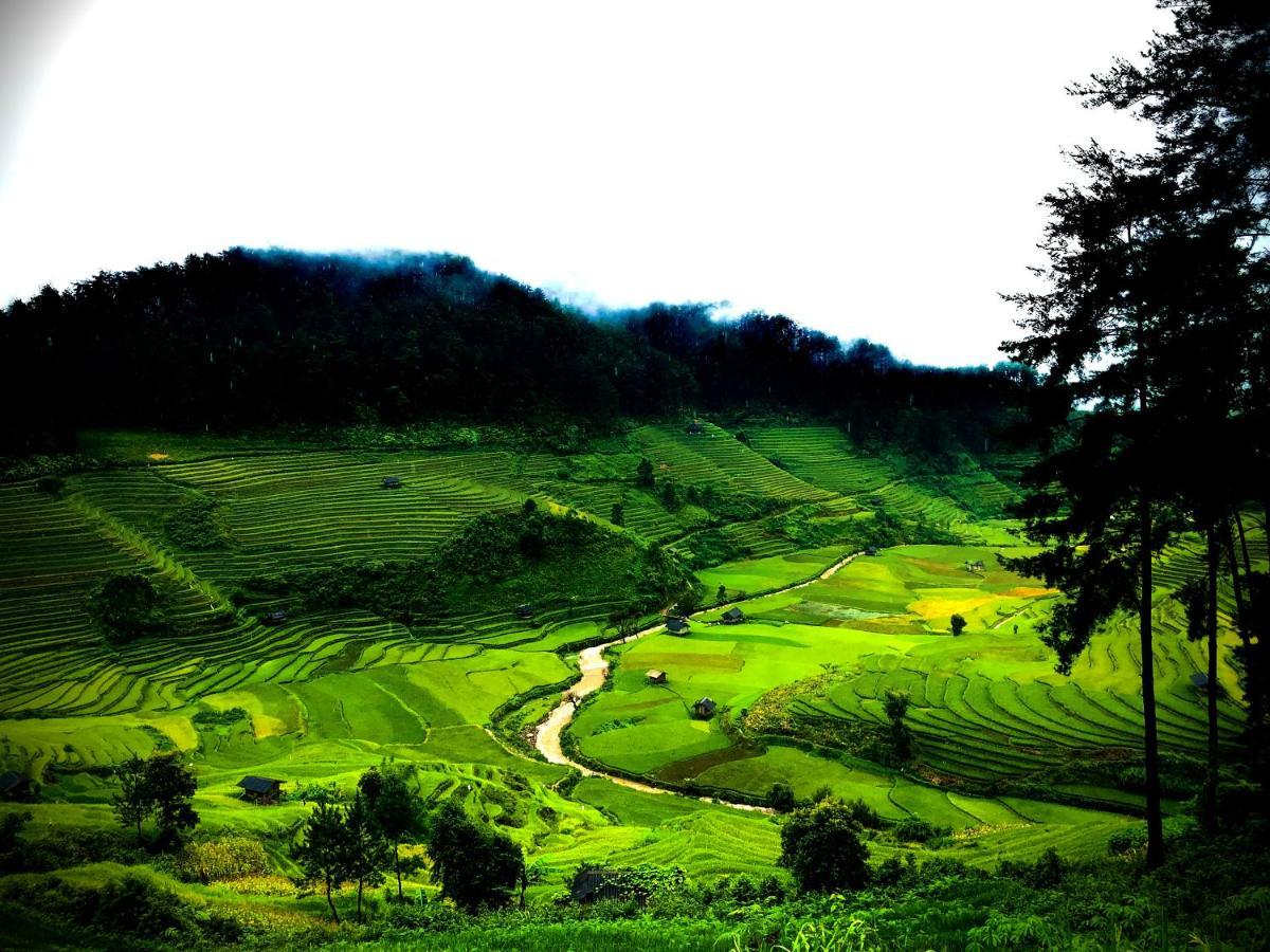 Do Gu Homestay Mu Cang Chai Екстериор снимка