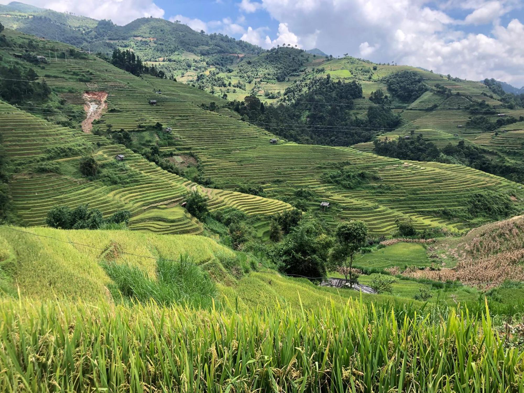Do Gu Homestay Mu Cang Chai Екстериор снимка