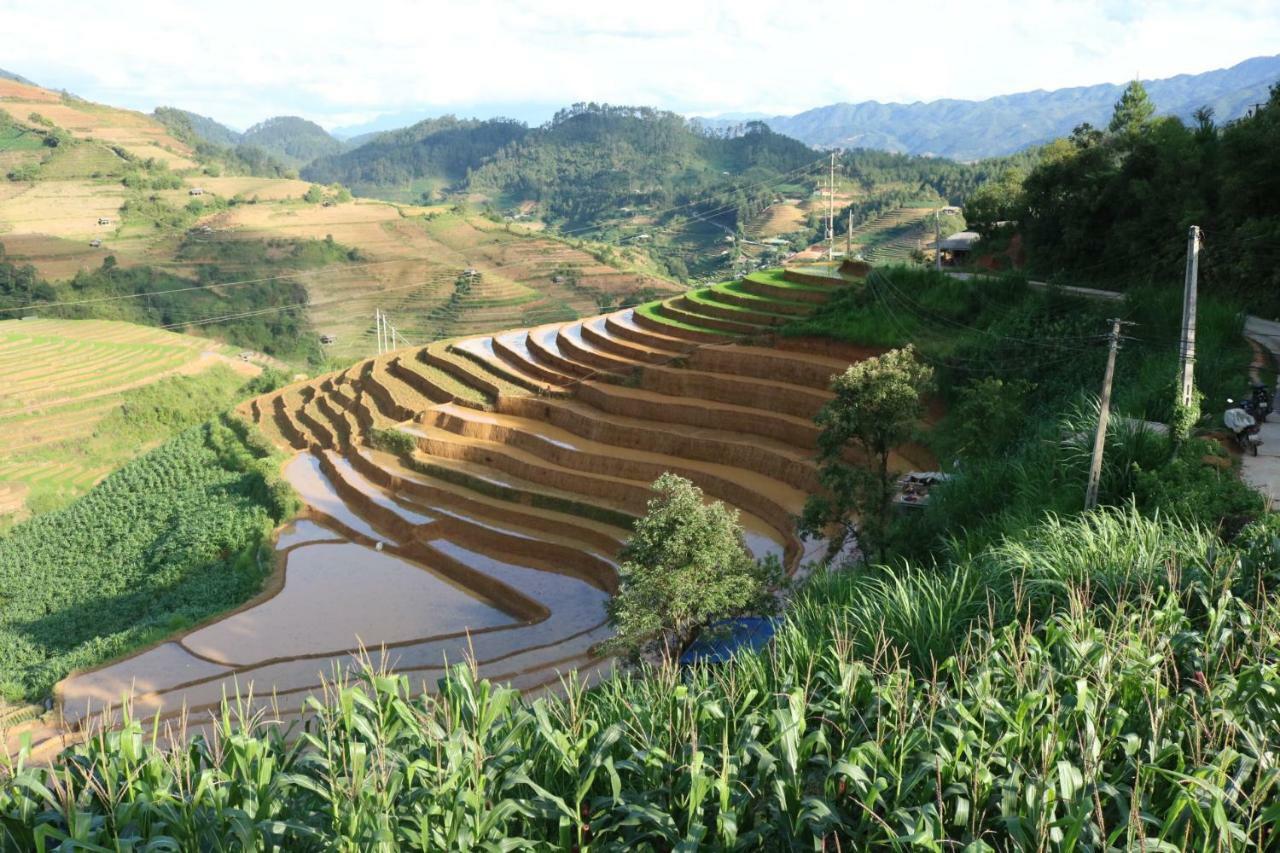 Do Gu Homestay Mu Cang Chai Екстериор снимка