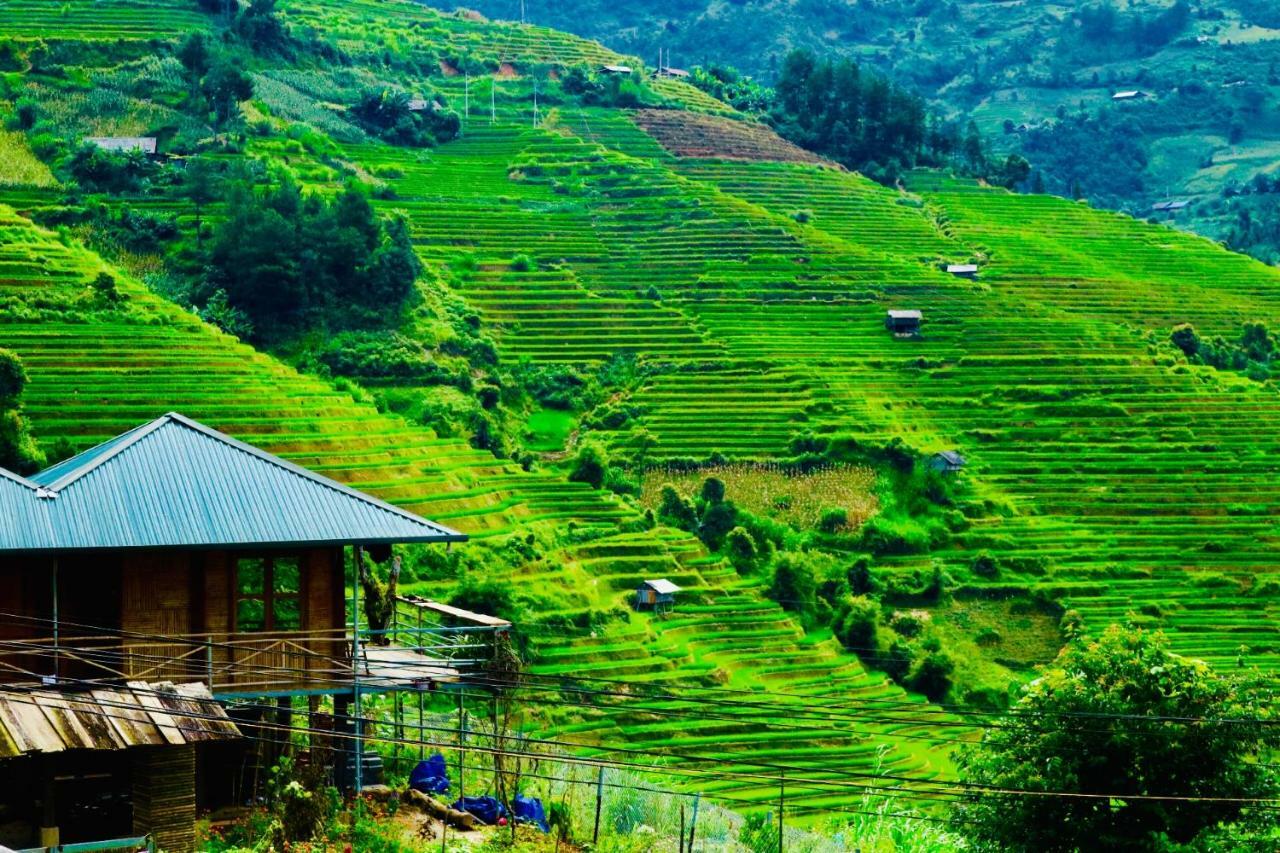 Do Gu Homestay Mu Cang Chai Екстериор снимка